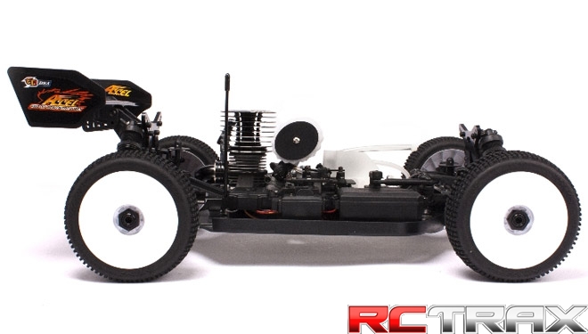 1:8 Nitro Buggy ACCEL ARR