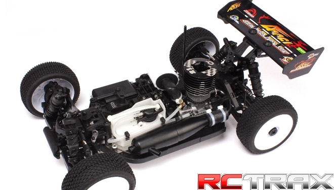 1:8 Nitro Buggy ACCEL ARR