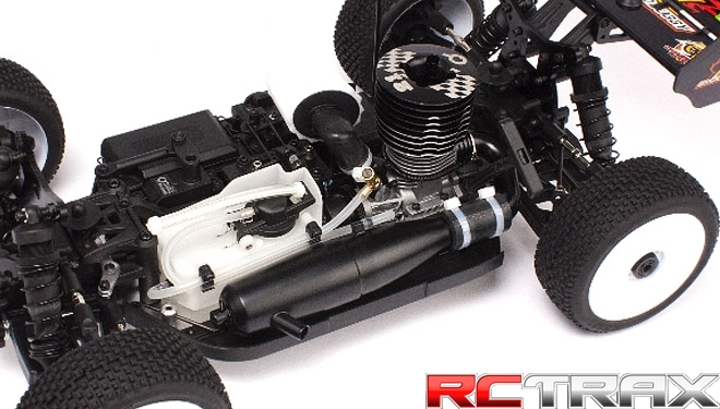 1:8 Nitro Buggy ACCEL ARR