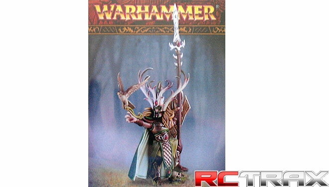 Warhammer wood elf Nomad Prince / Araloth