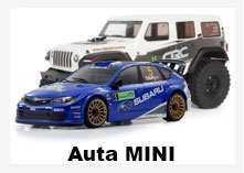 auta rc mini